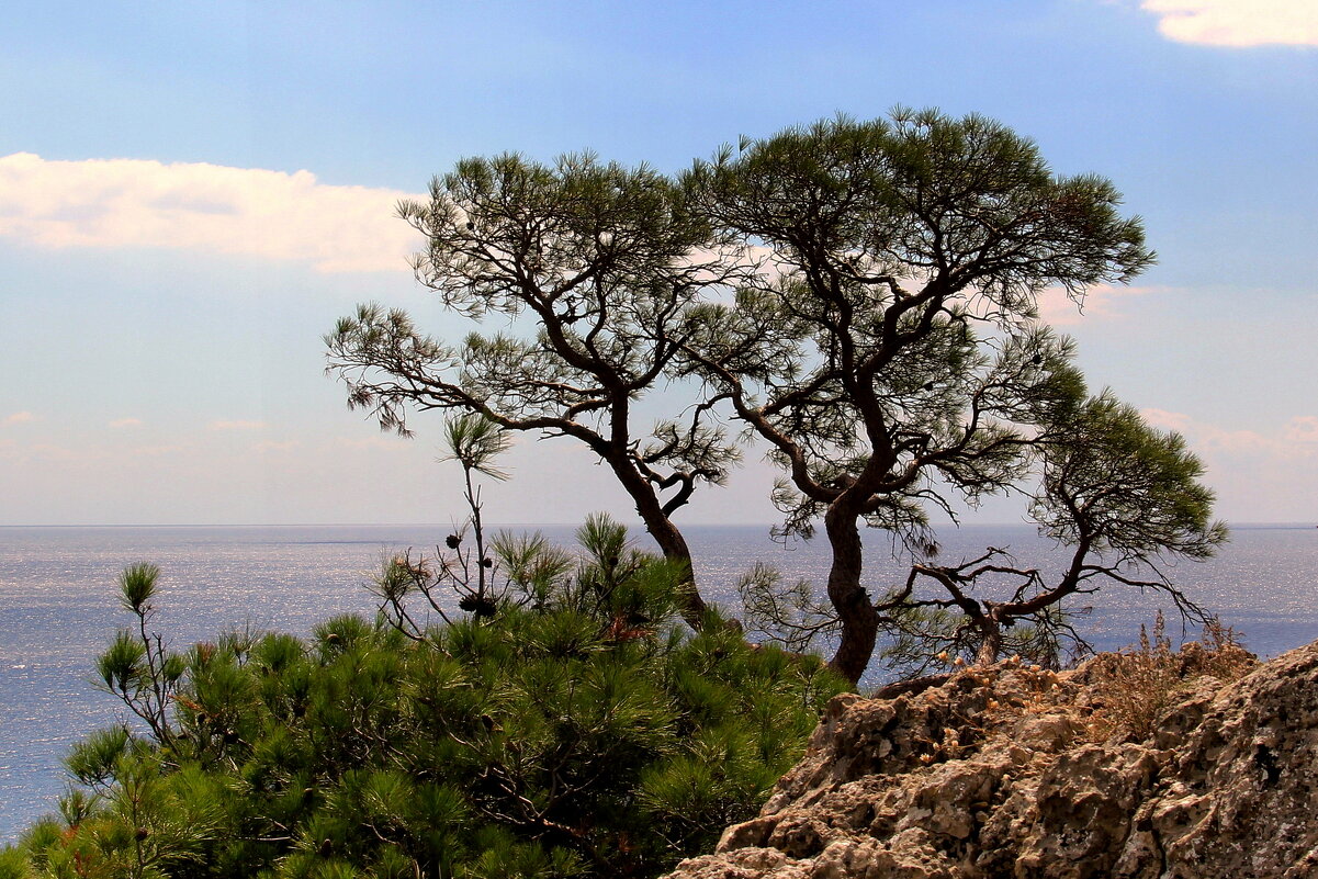 ** - Vlad Сергиевич