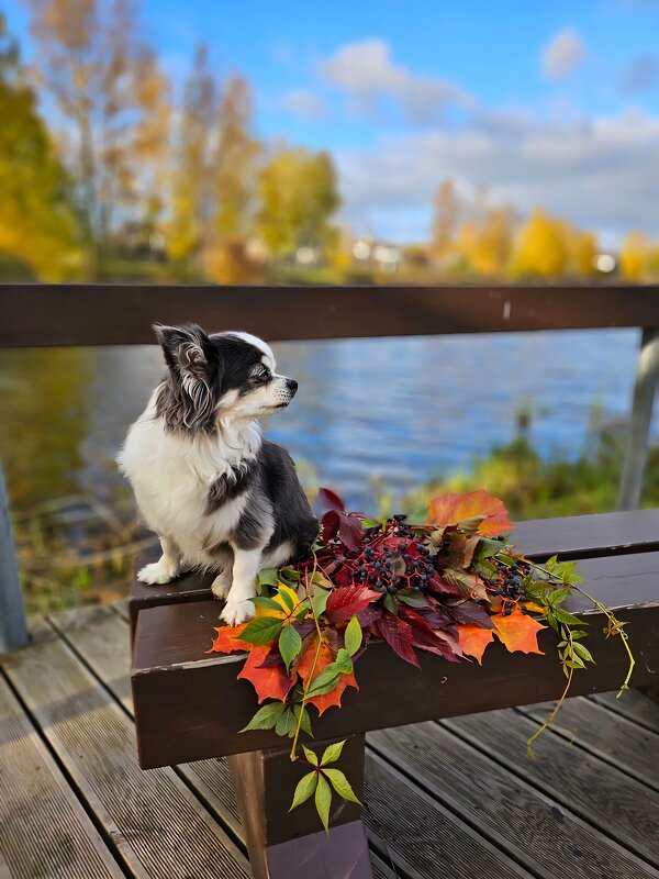 Осенний день - Галина Левина