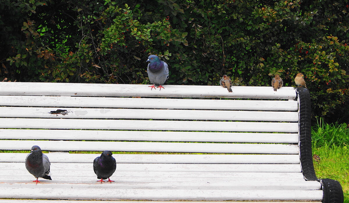 /// - Виктор Никитенко