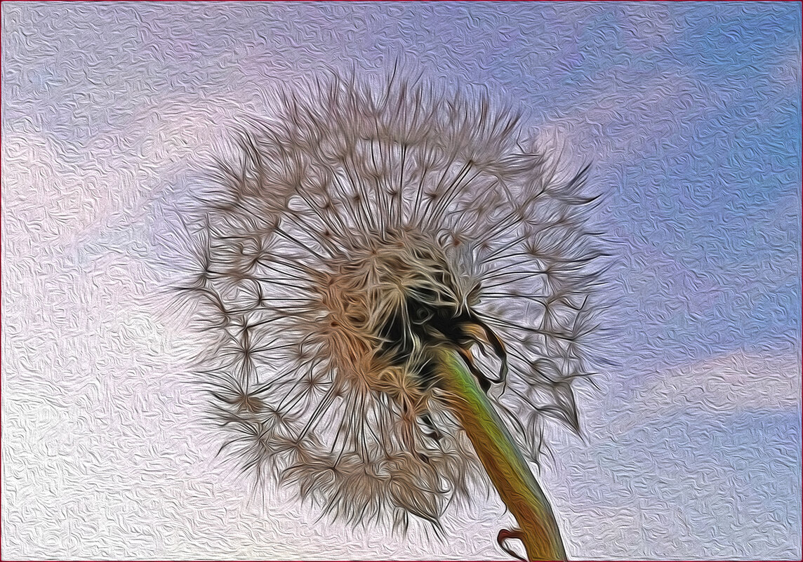 Кто живёт в одуванчике?! - Валентина Нефёдова Кто живёт в одуванчике?! - Валентина Нефёдова