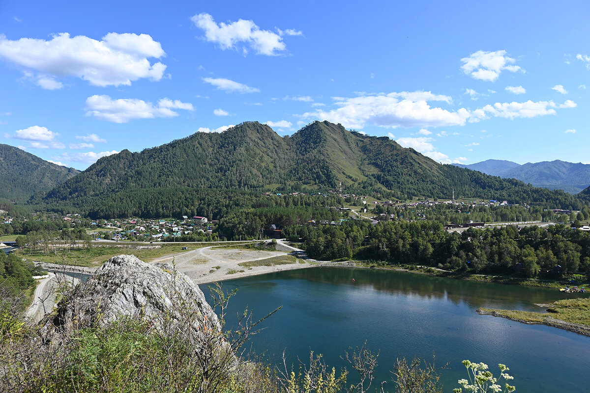 г.Верблюд - Валерий Медведев