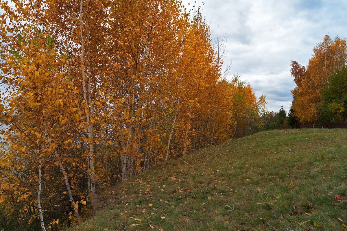 На пригорке Осень - IRinA*** 