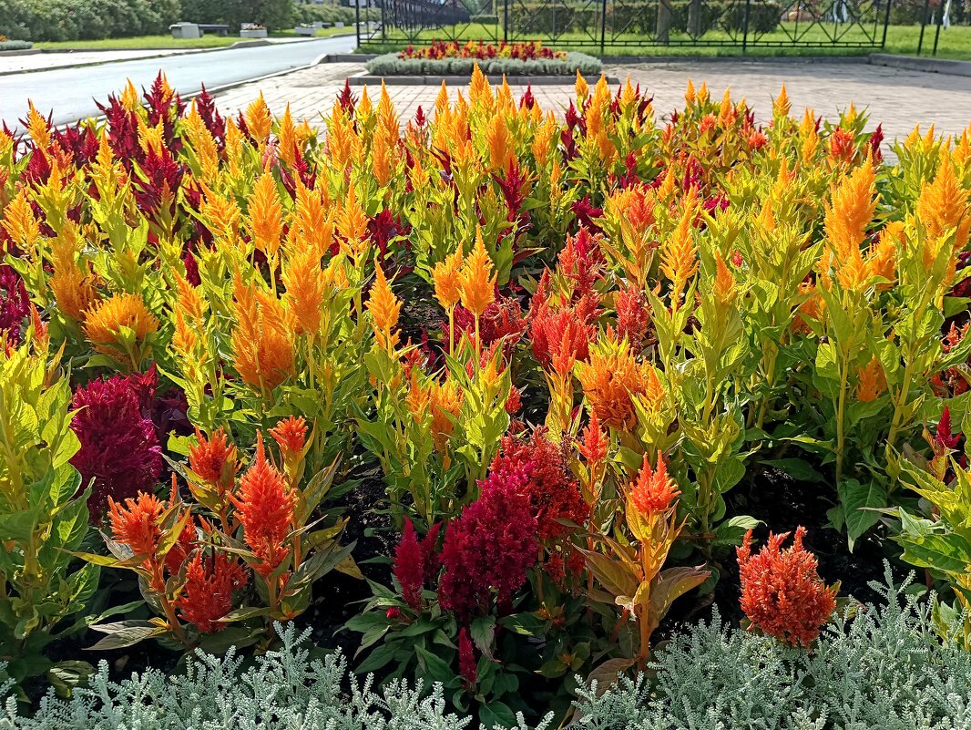 Палитра осени - Мария Васильева