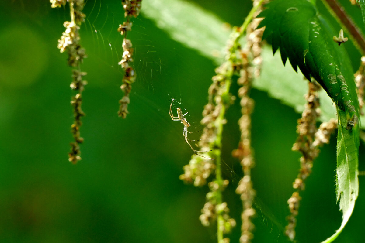 Природа конца лета 11 - Александр Прокудин