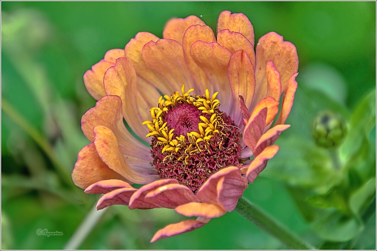 Просто уходило лето... - Aquarius - Сергей