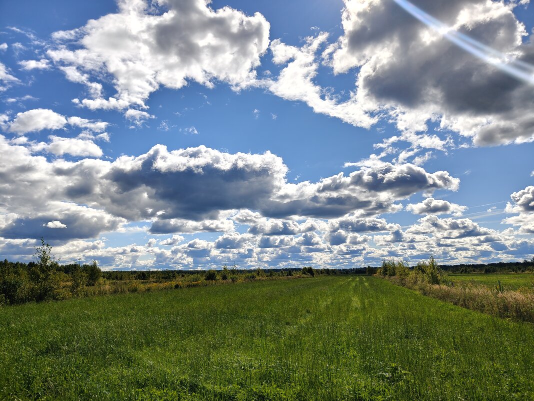 Последние дни лета - Андрей Последние дни лета - Андрей