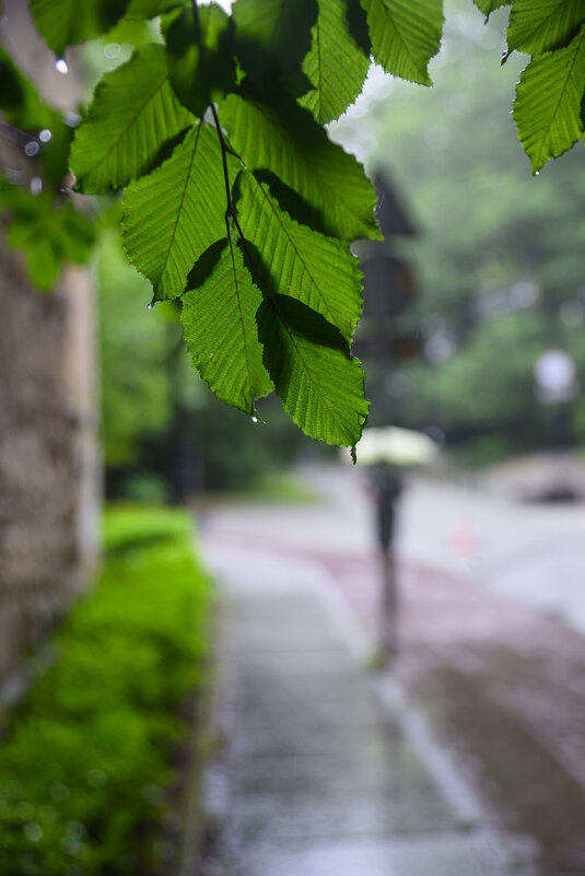 * - Осень * - Осень