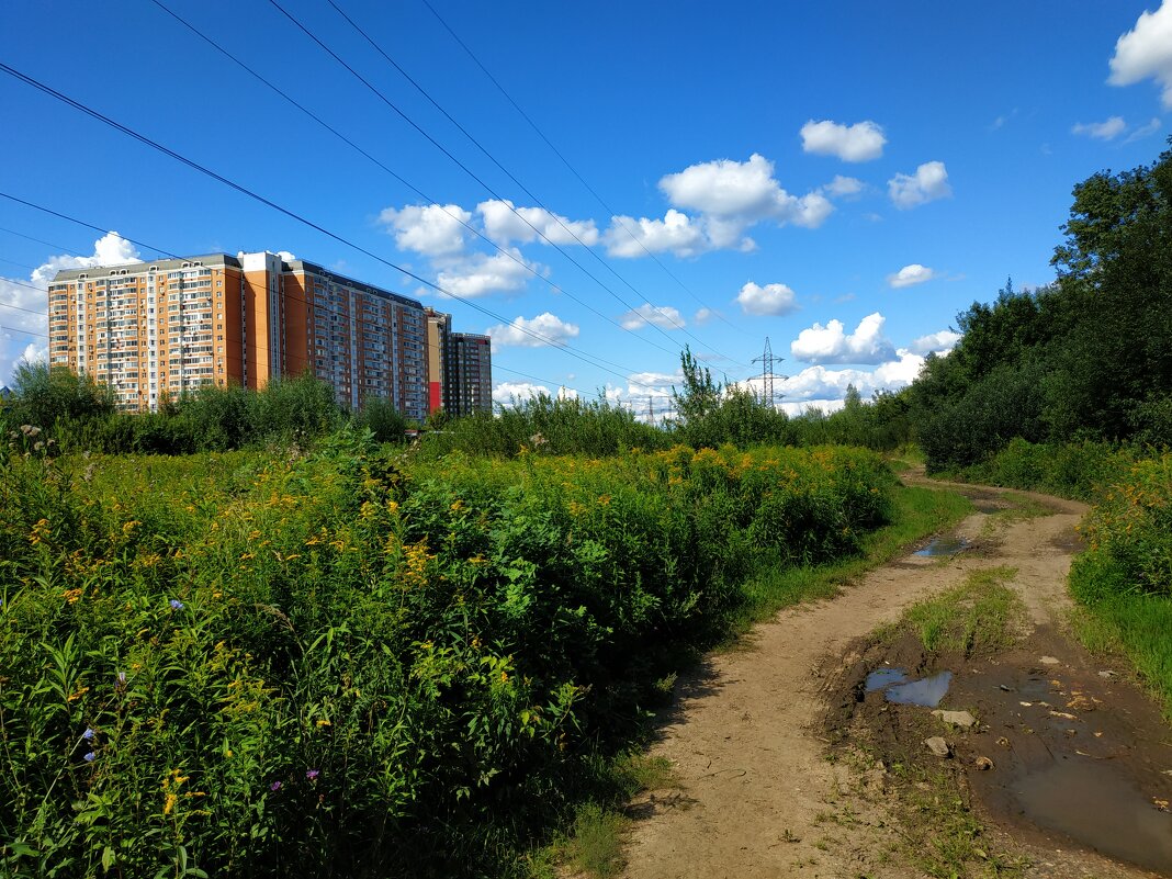 Здесь круглый год 1 мая - Андрей Лукьянов