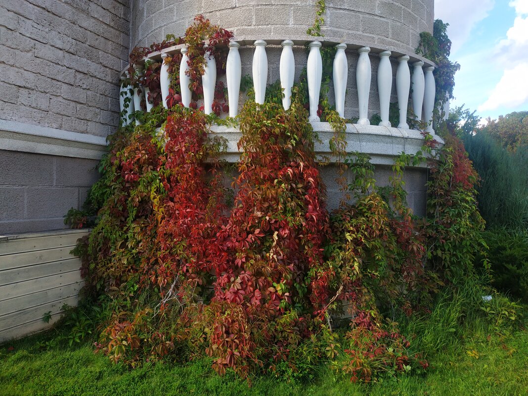 Верный признак осени - Андрей Лукьянов