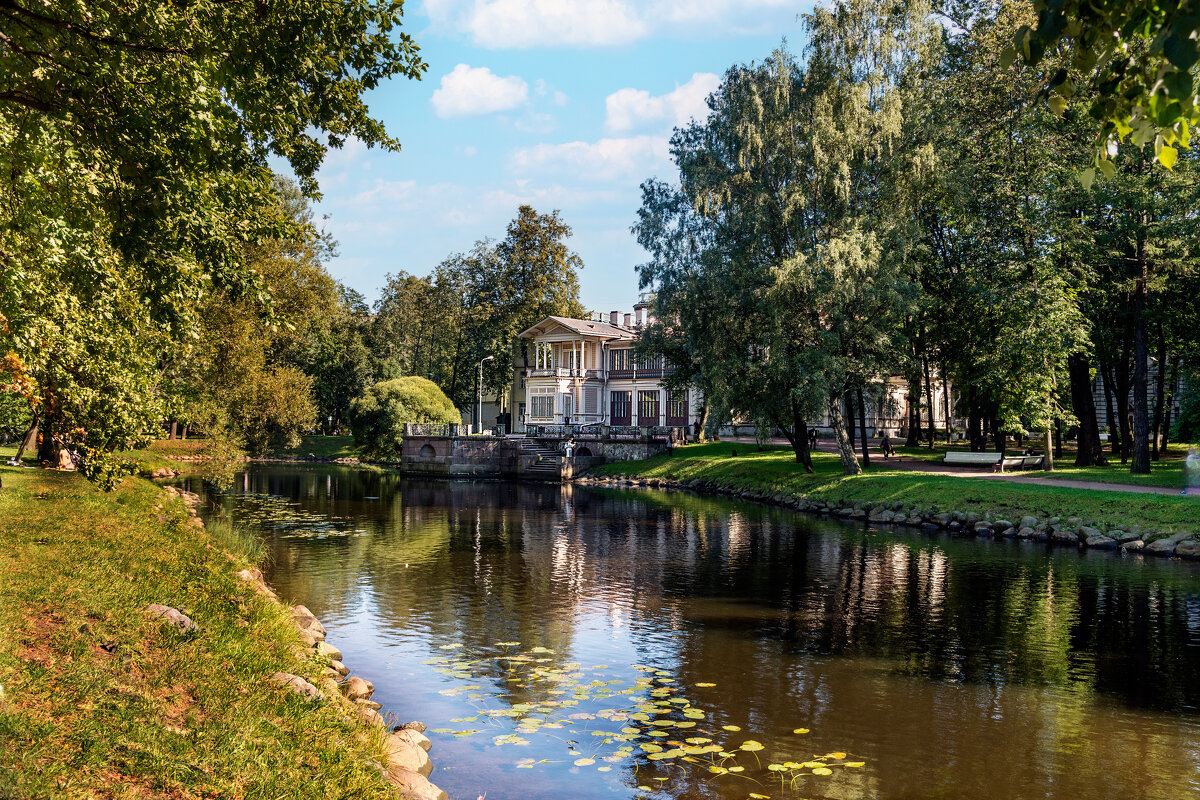 Лопухинский пруд - Виктор Орехов