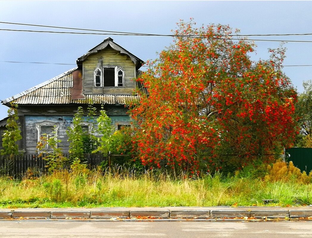Дом у дороги. Осень. - Любимова Ольга Дом у дороги. Осень. - Любимова Ольга