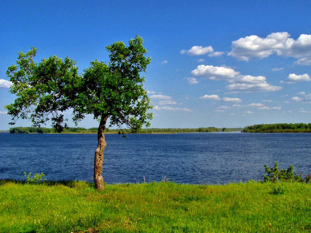 Одна стою на берегу. - Анатолий Уткин Одна стою на берегу. - Анатолий Уткин