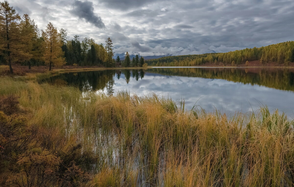 Такое разное Киделю - Марина Фомина.