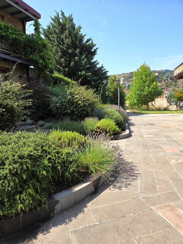 Грузия. Тбилиси.  У дворца царицы Дареджан - Ольга Довженко