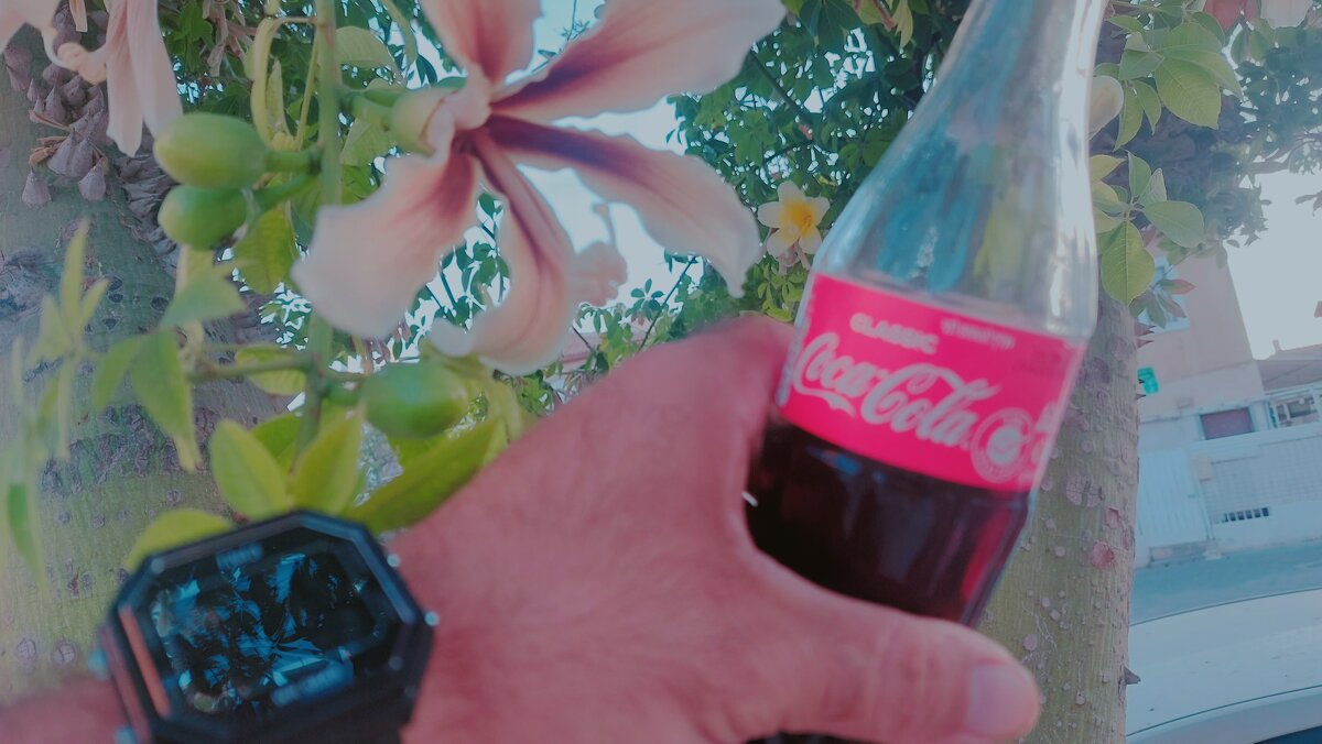 13  ОПЕН (300) - OPEN WAYS ALL