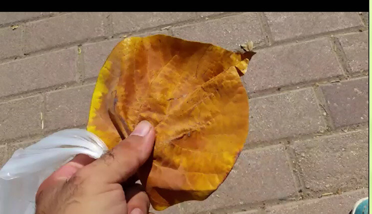 113 (59) - CLOSE WAYS ALL