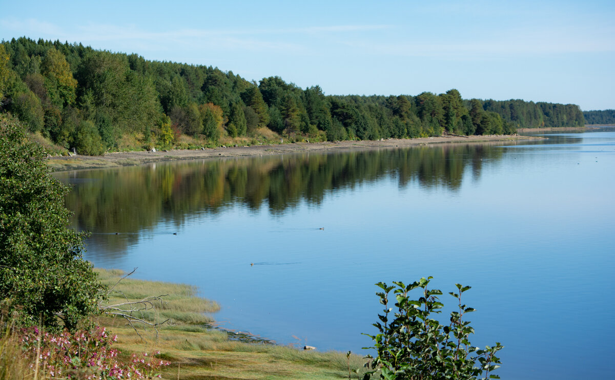 Река Онега. - Марина Никулина Река Онега. - Марина Никулина
