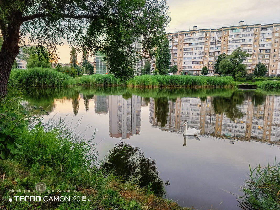 Июльский вечер - Игорь Сарапулов