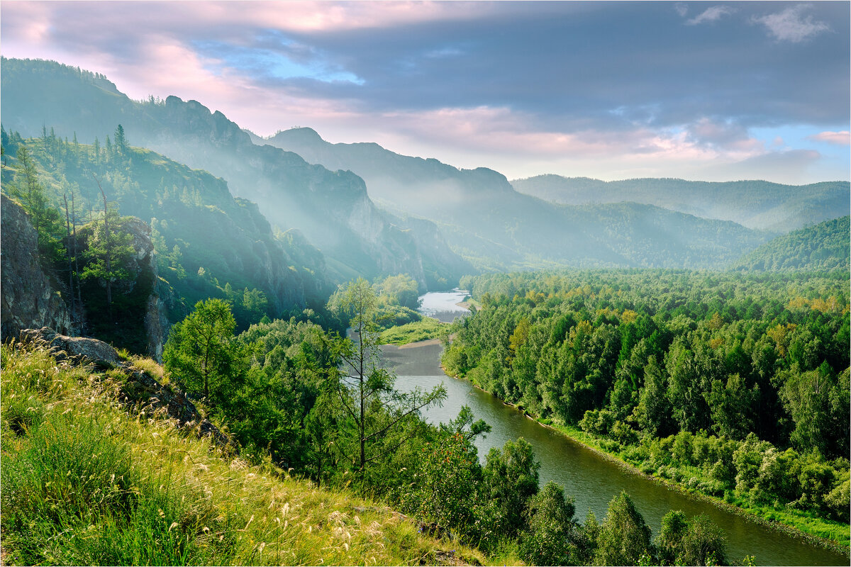 **** - Алексей Мезенцев