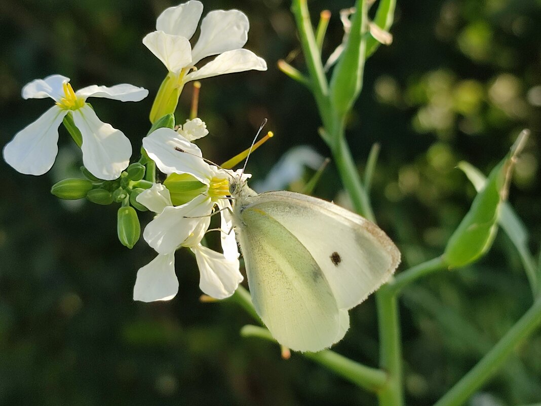 А за окном осень - Валентина Богатко 