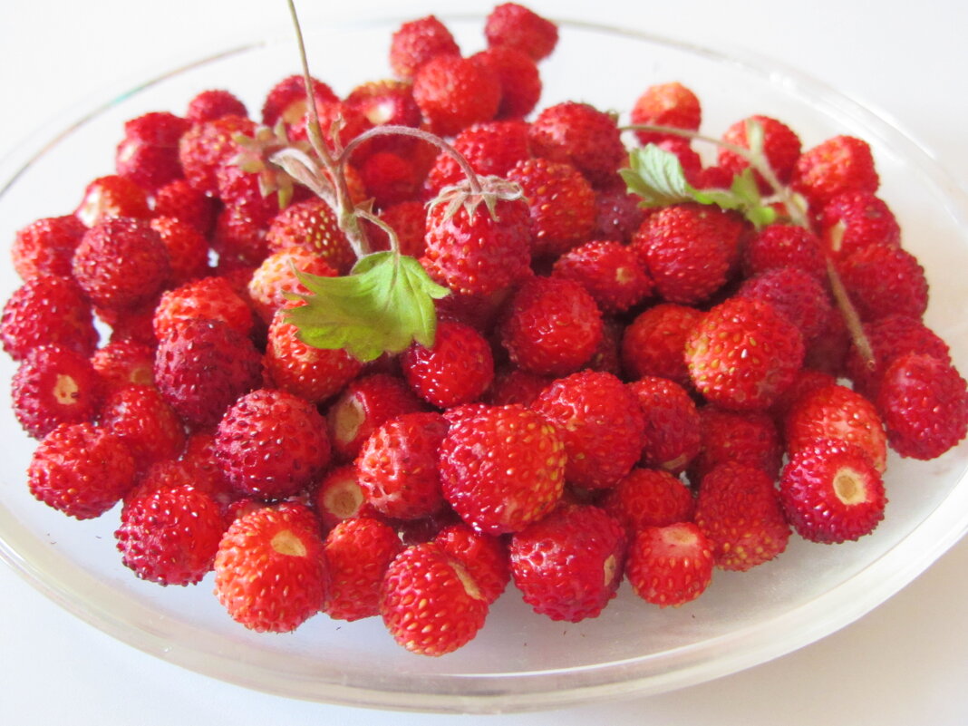 Земляничка - Валерий 