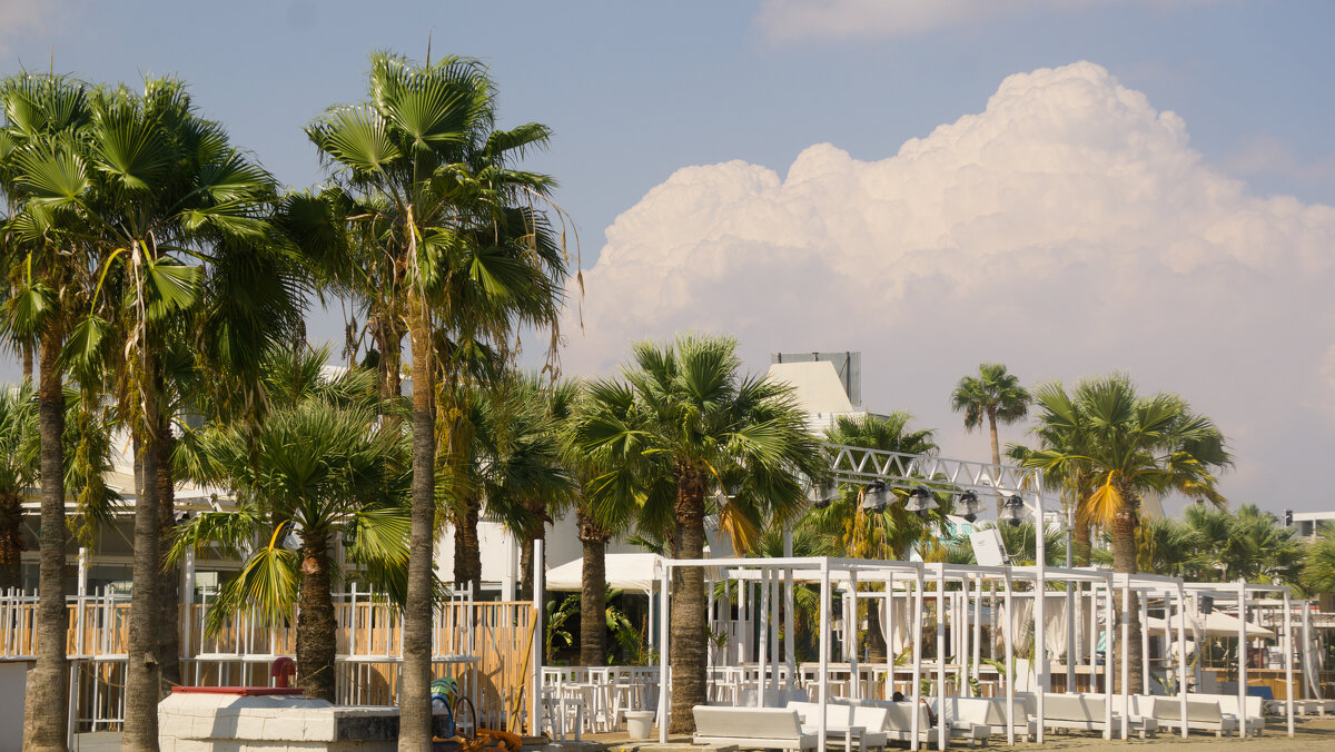 Кипр. Ларнака - Андрей 