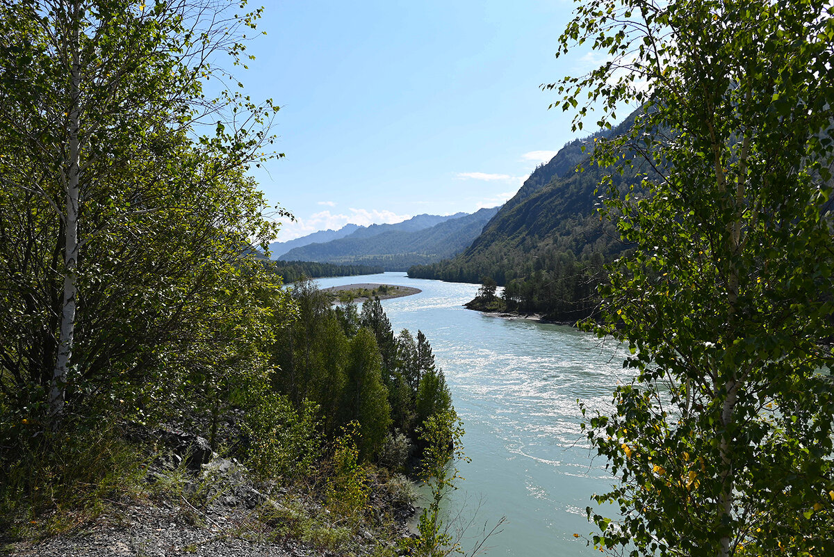 Над Катунью - Валерий Медведев