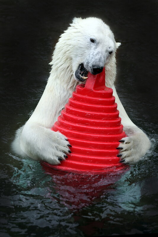 4 сентября - Михаил Бибичков