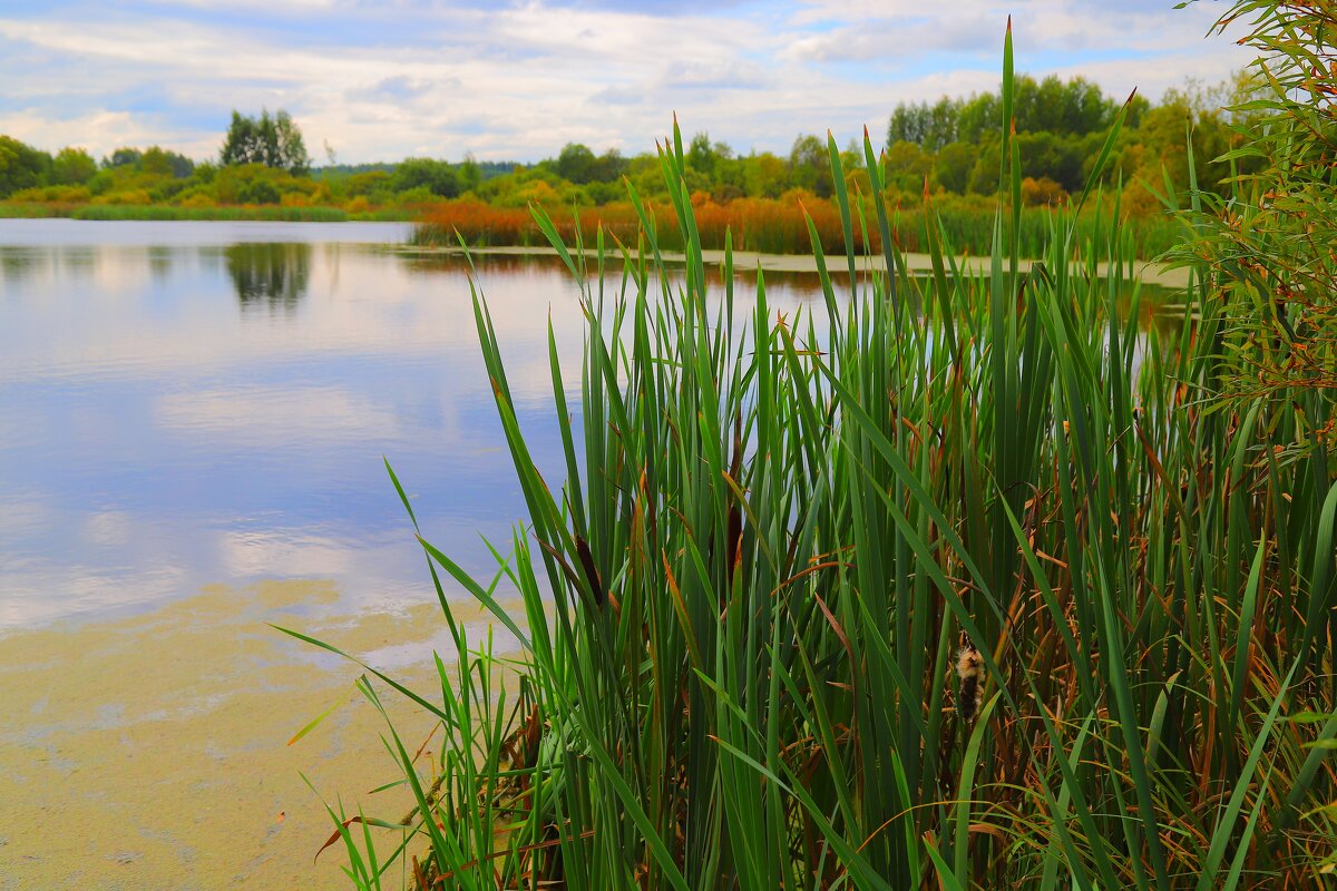 ... - Владимир иванов