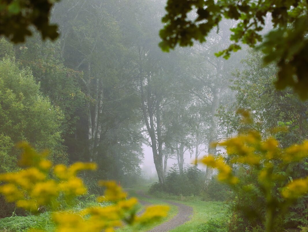 Утро сентября - liudmila drake