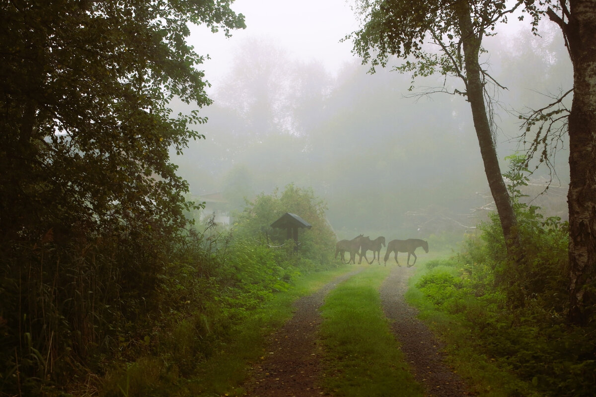 Однажды в прошлом... - liudmila drake
