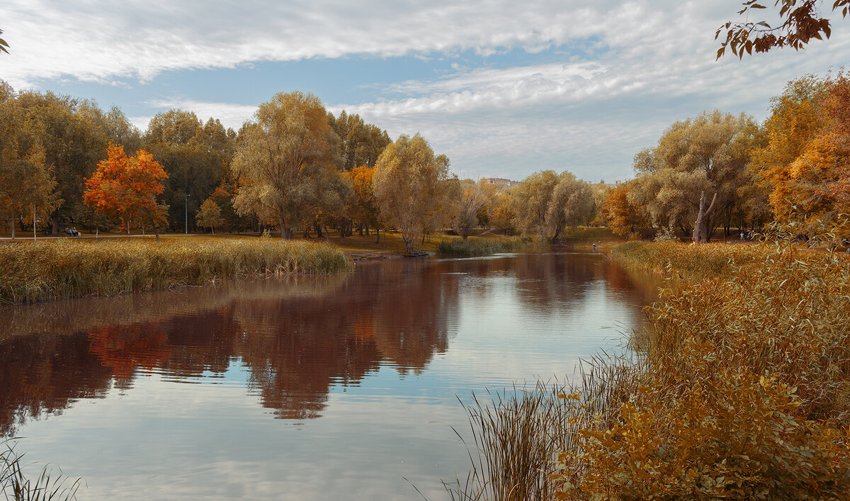 Воронежское озеро - Виктор Замулин