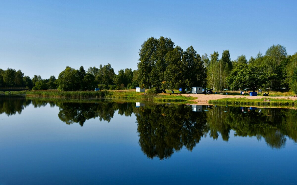Сказка осеннего вечера. - Милешкин Владимир Алексеевич 