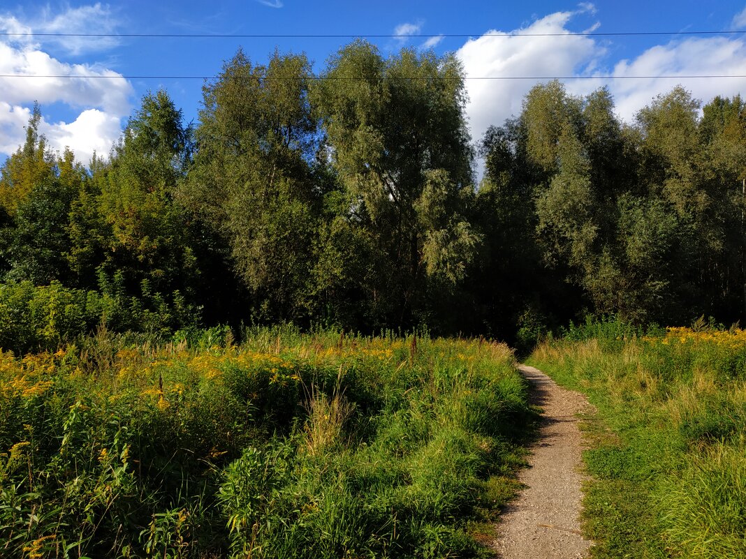 Никак Бабье лето?! - Андрей Лукьянов
