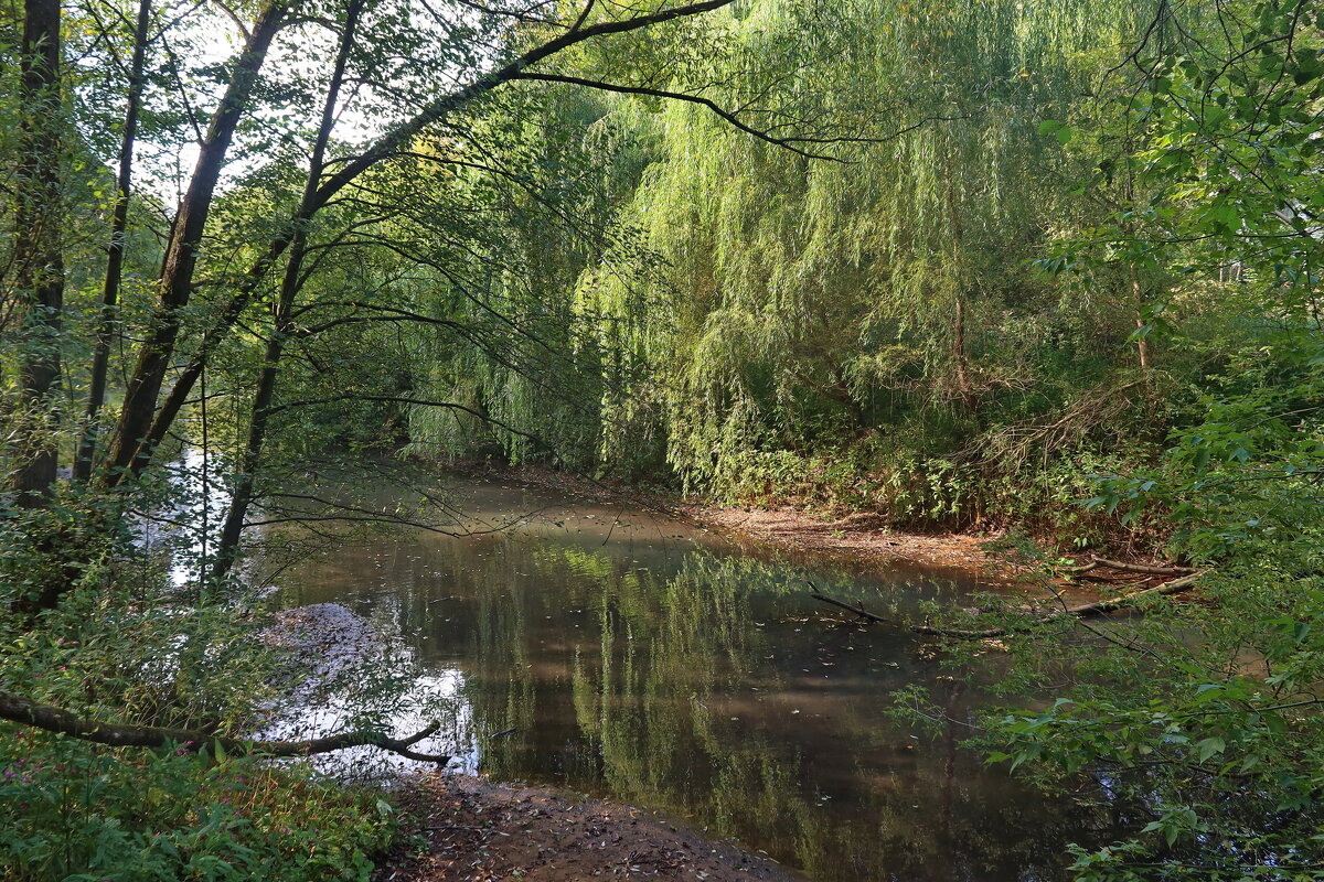 Река Химка - Дмитрий И_