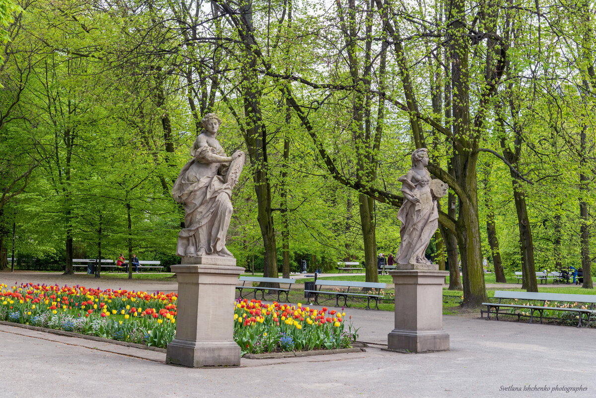 Саксонский сад в Варшаве. Статуя Rzezbiarstwo и статуя Malarstwo - Светлана Ищенко
