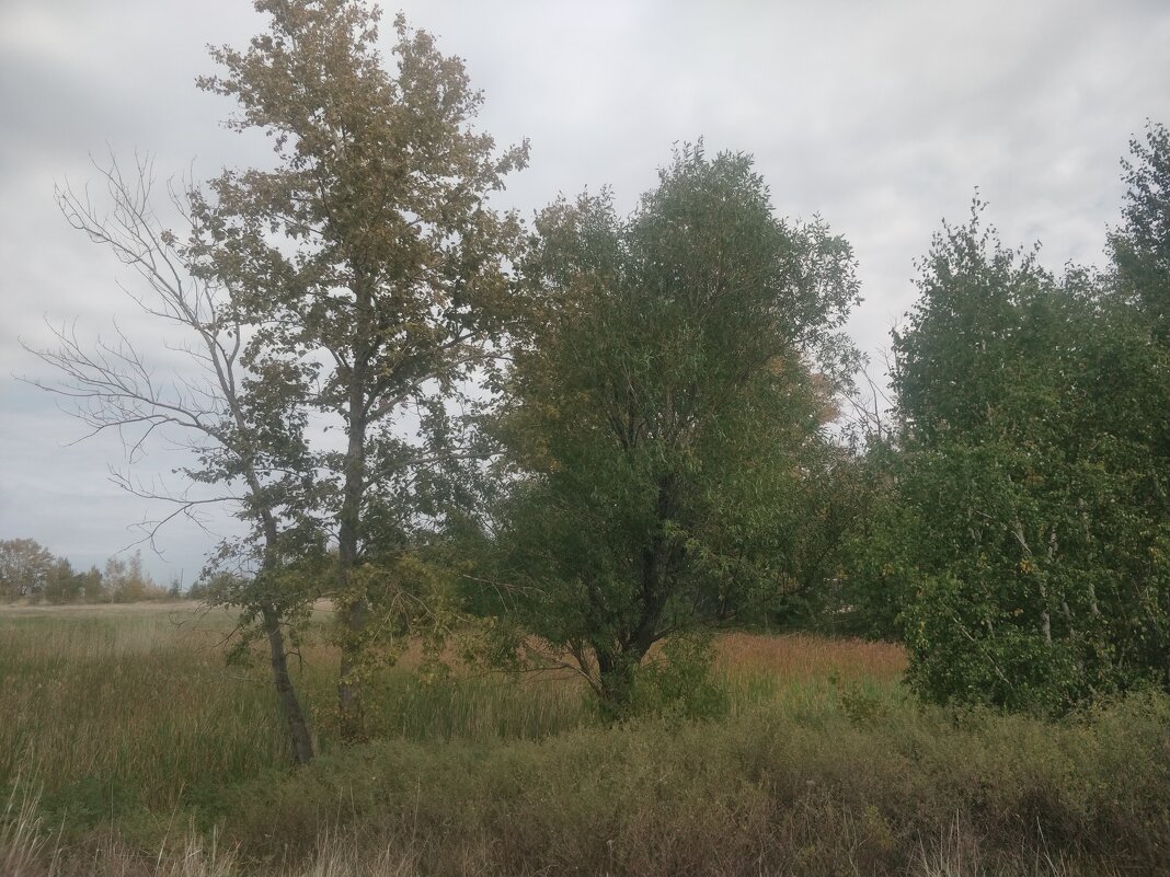 Зелёный край - Андрей Хлопонин