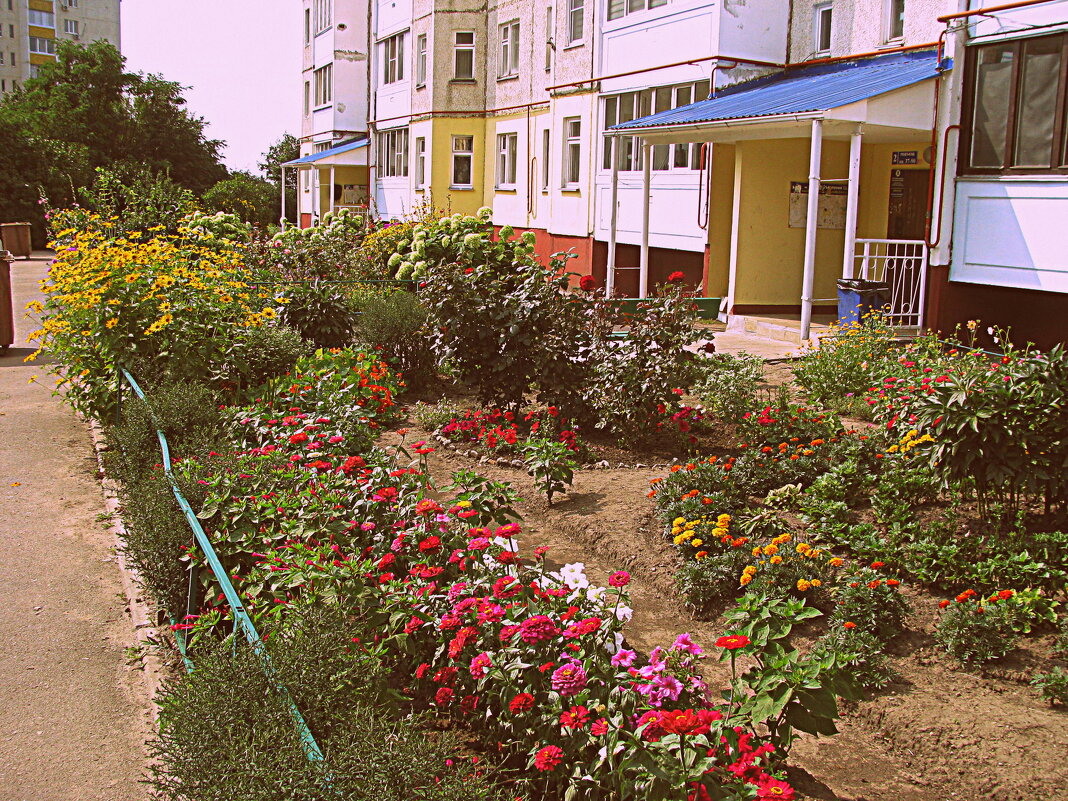 Лето. - Владимир Драгунский