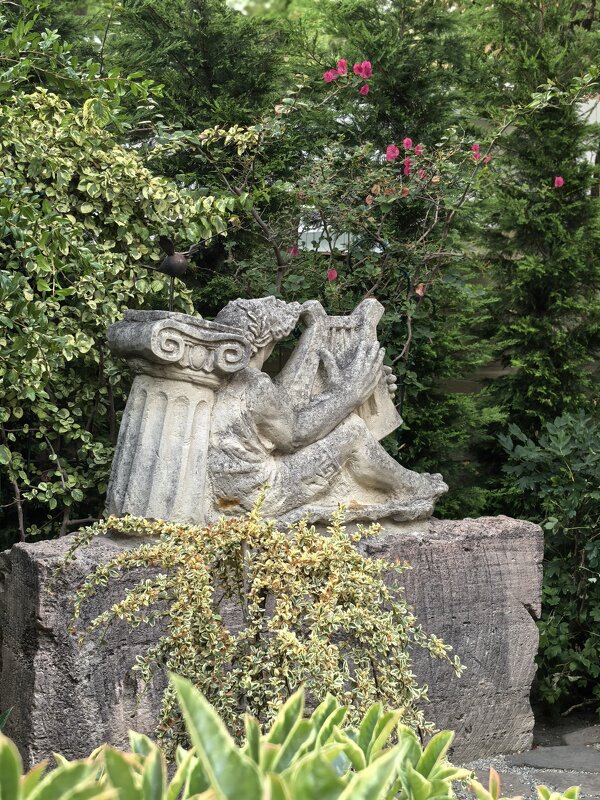 Сатир - Татьяна Михайлова