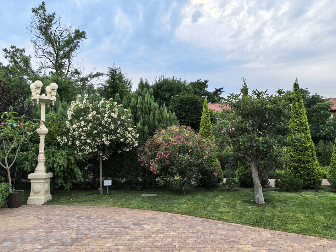 Уголок парка - Татьяна Михайлова