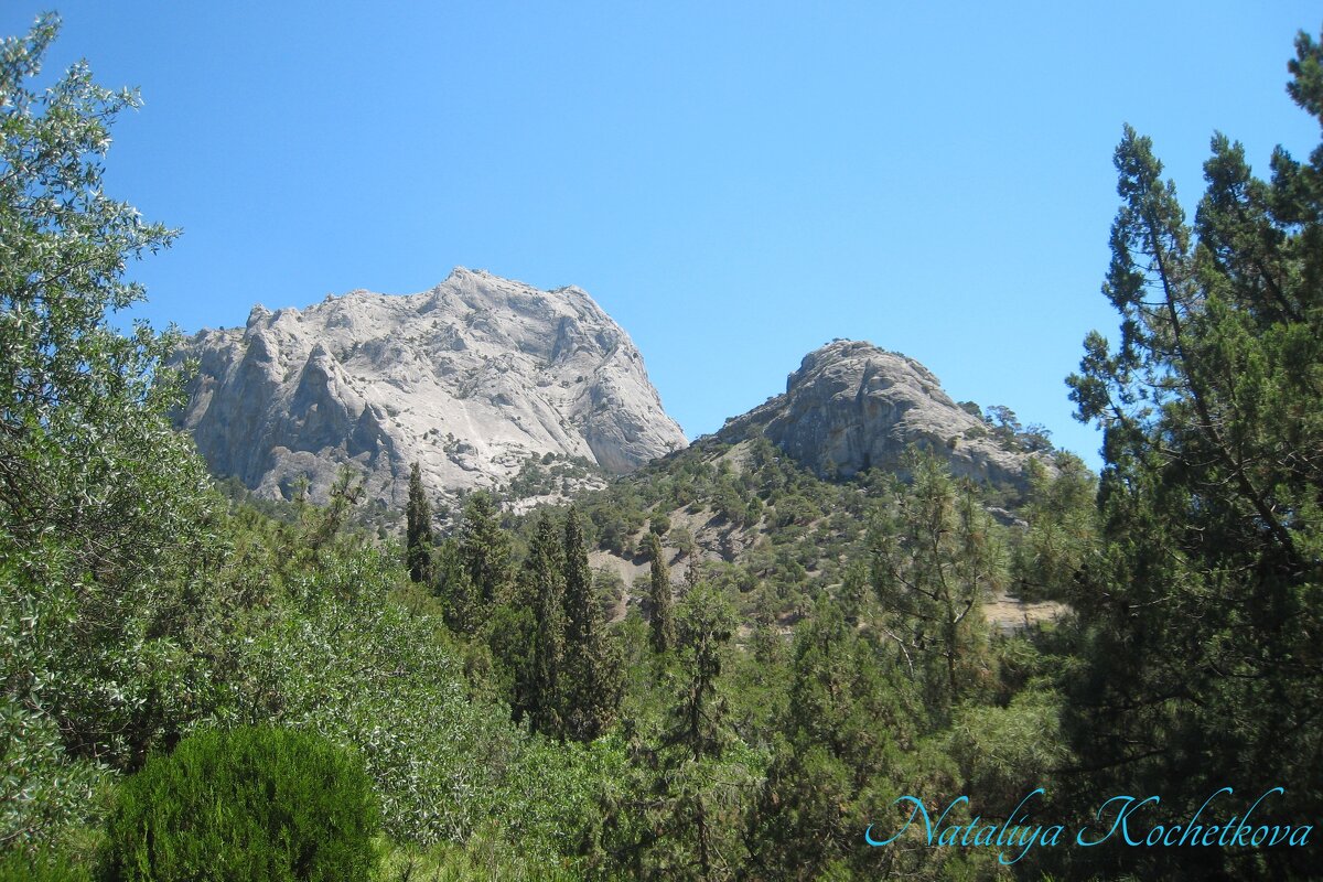 Природа Крыма - Amazing Cosmea Природа Крыма - Amazing Cosmea