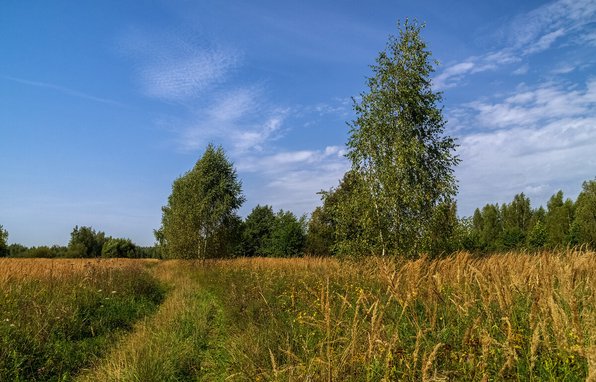 На исходе лета 10 - Андрей Дворников