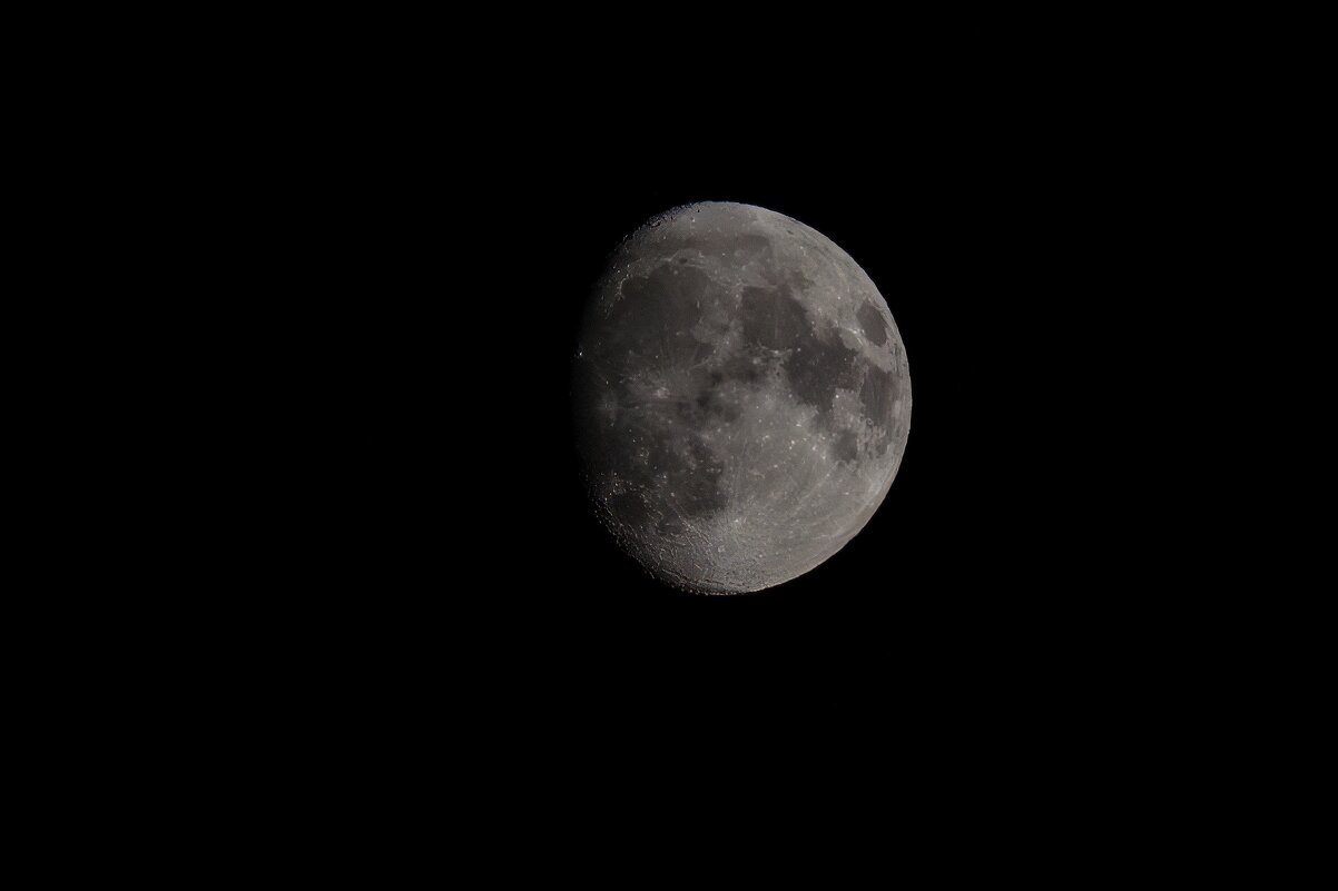 Ночное светило - Виктор Иванович Чернюк