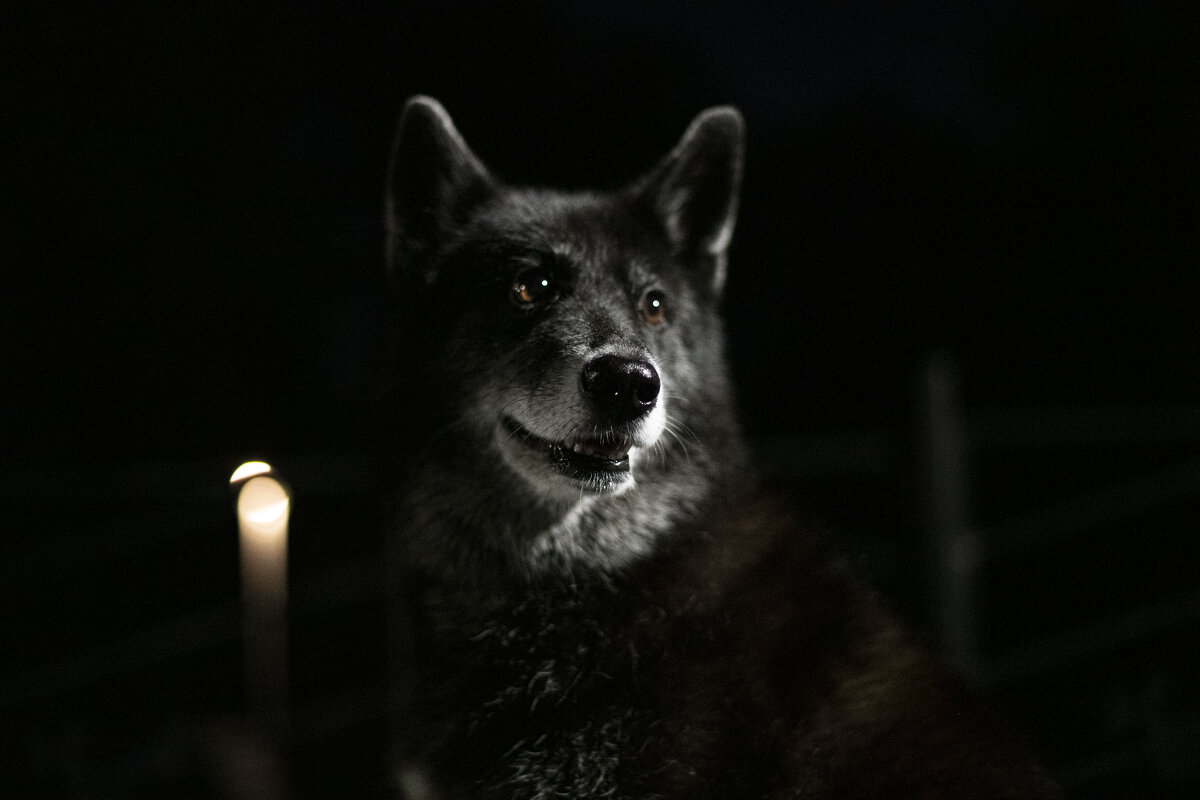 Саманта - Алла Федосеева