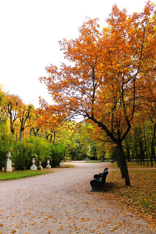 Одинокая скамейка - Хватова Марина 