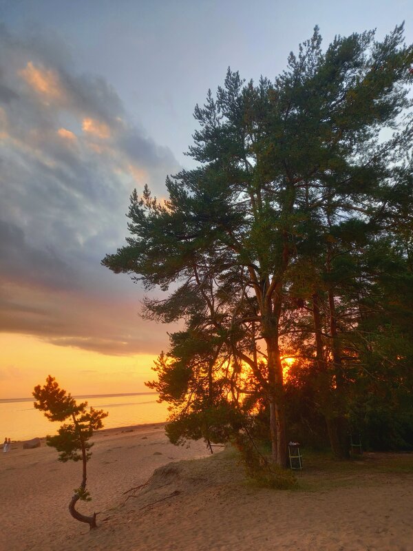 Закат - Сапсан 