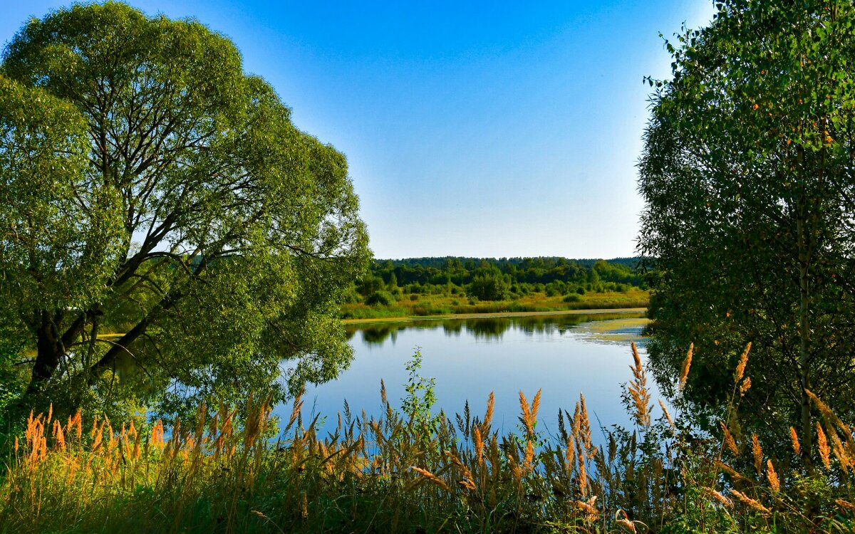 Осенний пейзаж с озером. - Милешкин Владимир Алексеевич 