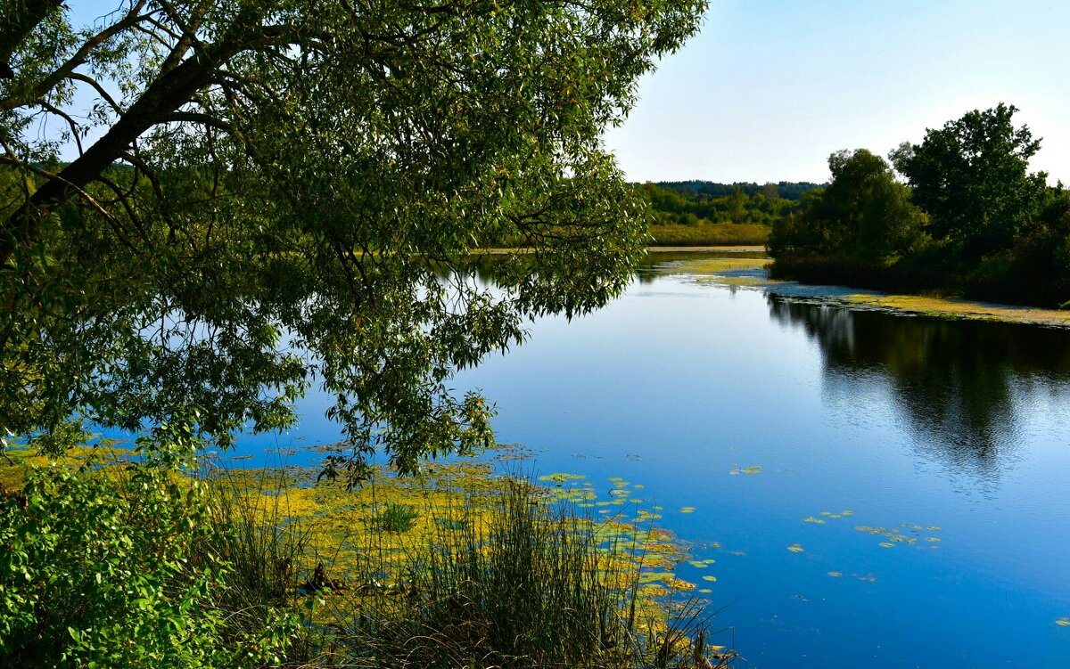 Осенний пейзаж. - Милешкин Владимир Алексеевич Осенний пейзаж. - Милешкин Владимир Алексеевич