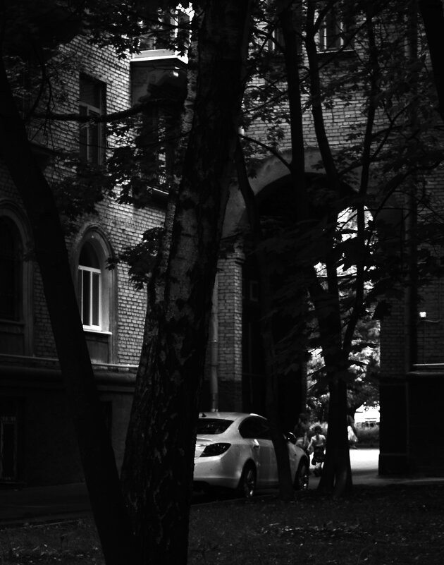 Из тени к свету. - Василий Палий