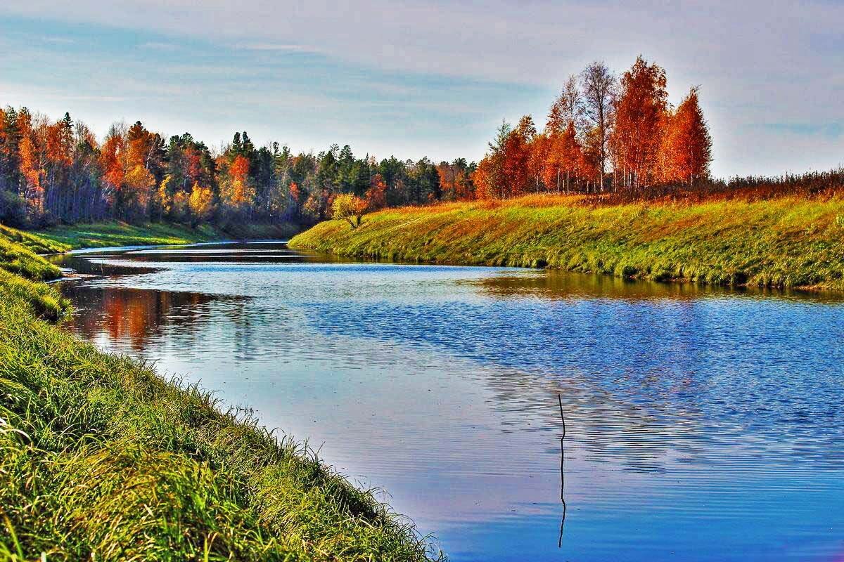 Сентябрь...Золотая осень на протоке Девкина! - Владимир 